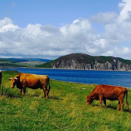 Rural Farmhouse On Kintyre, West Coast Hidden Gem Kildalloig Exteriér fotografie