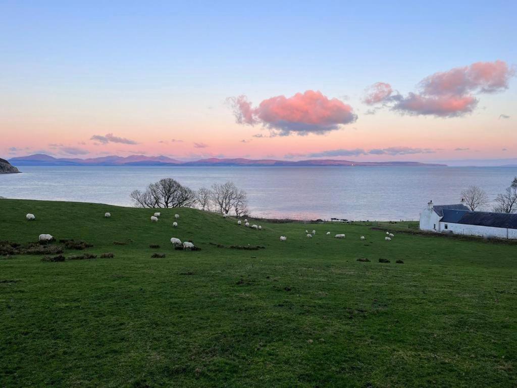 Rural Farmhouse On Kintyre, West Coast Hidden Gem Kildalloig Exteriér fotografie