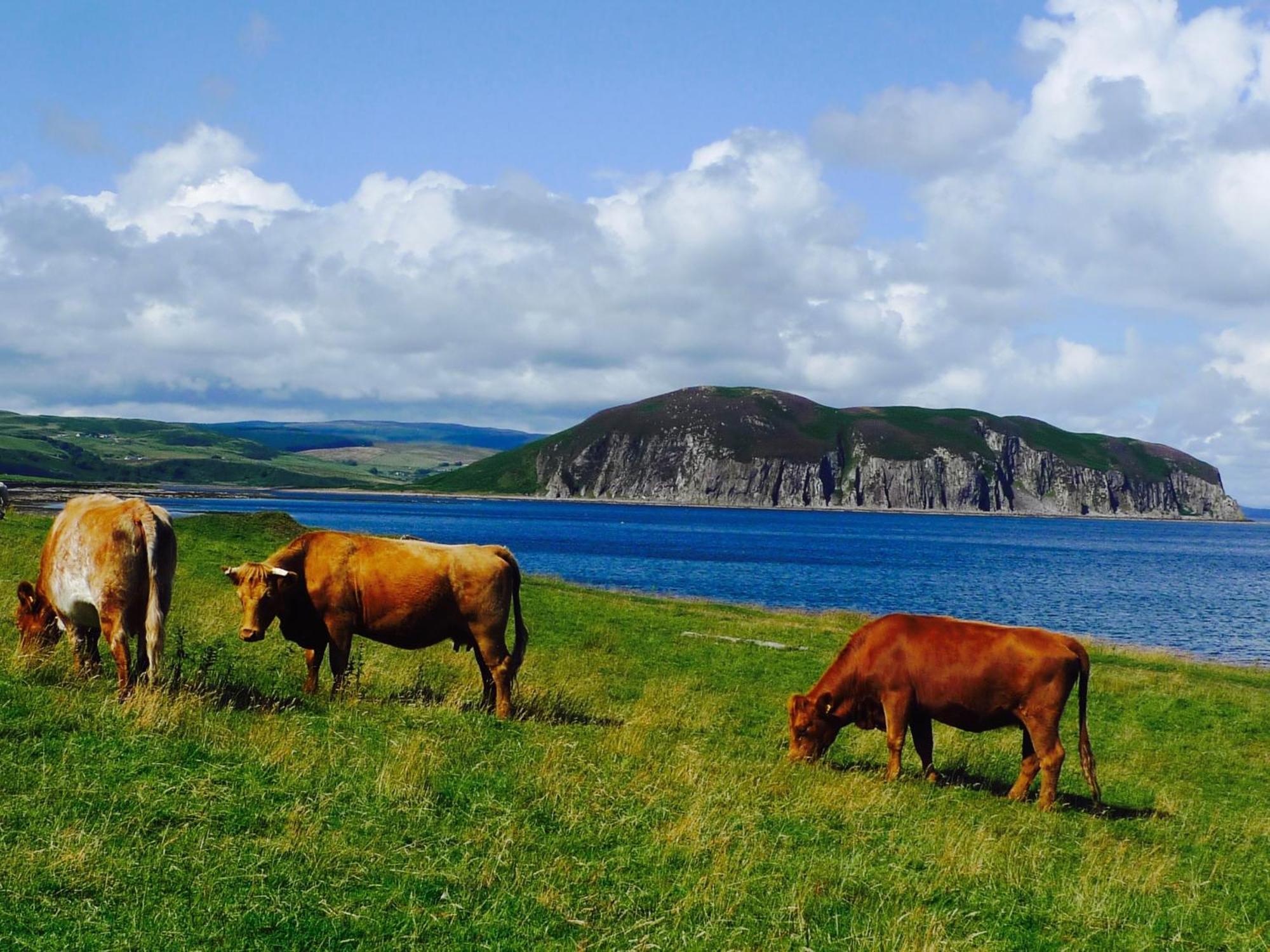 Rural Farmhouse On Kintyre, West Coast Hidden Gem Kildalloig Exteriér fotografie